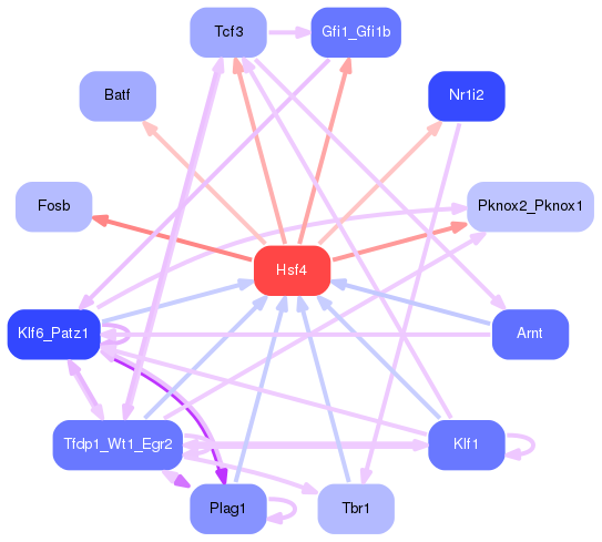 PNG image of the network