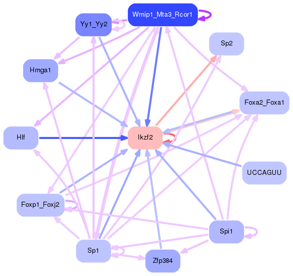 PNG image of the network
