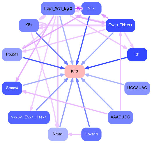 PNG image of the network