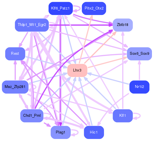 PNG image of the network