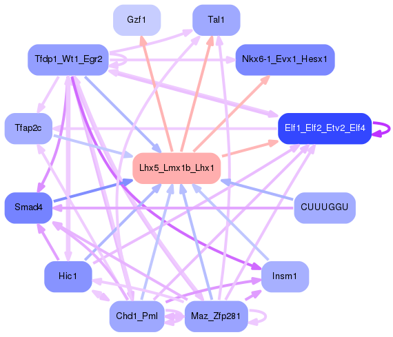 PNG image of the network