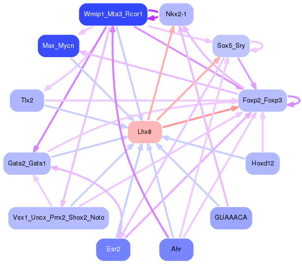 PNG image of the network