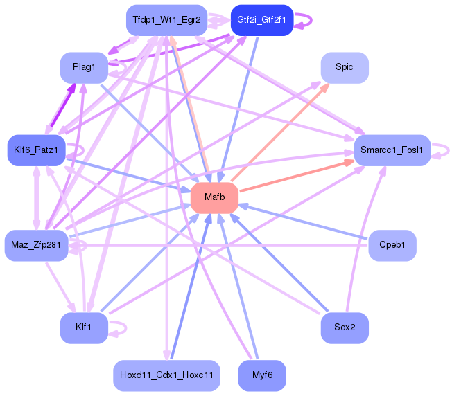 PNG image of the network