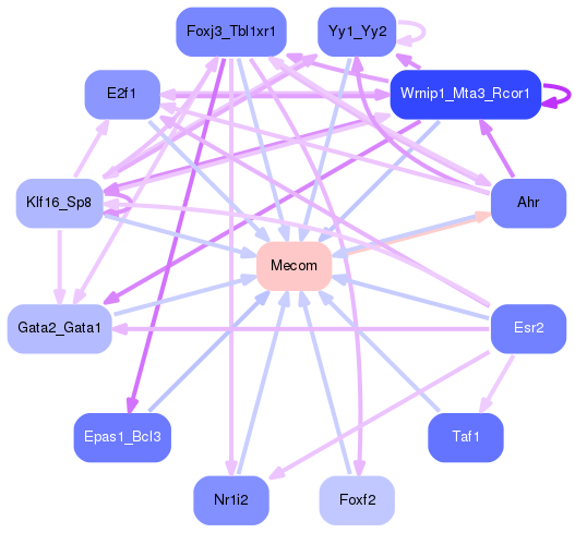 PNG image of the network