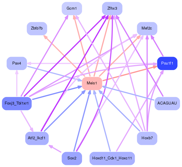 PNG image of the network