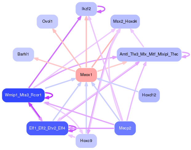 PNG image of the network