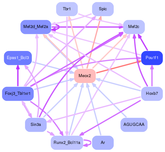 PNG image of the network