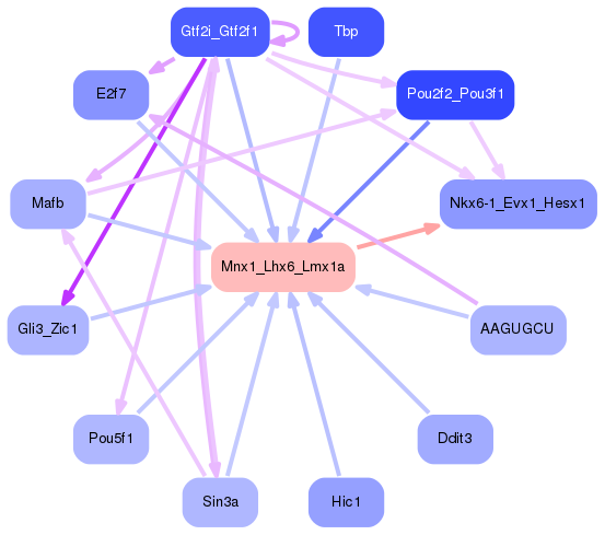 PNG image of the network