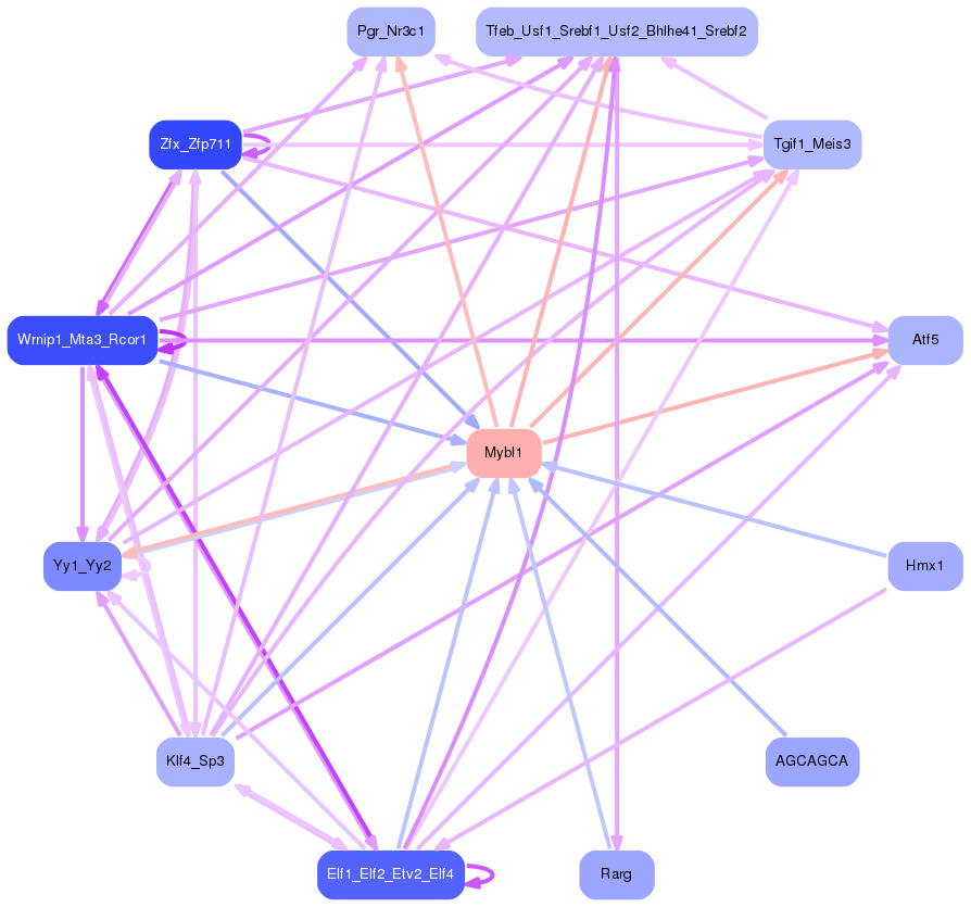 PNG image of the network