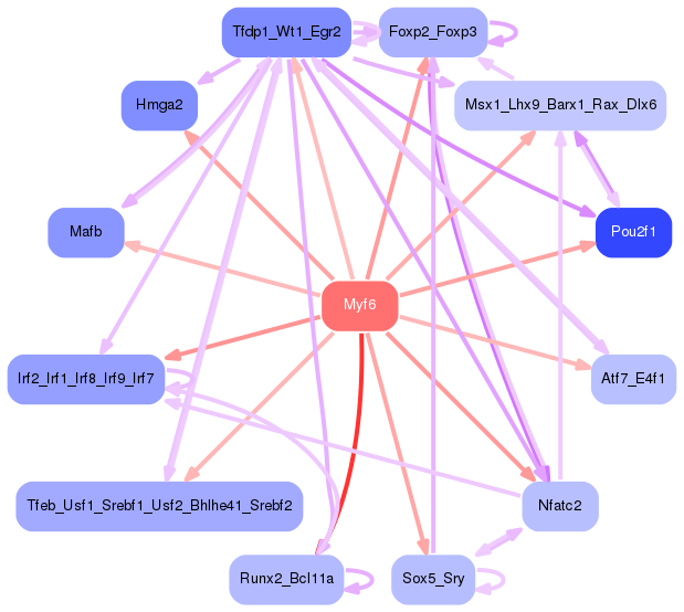 PNG image of the network
