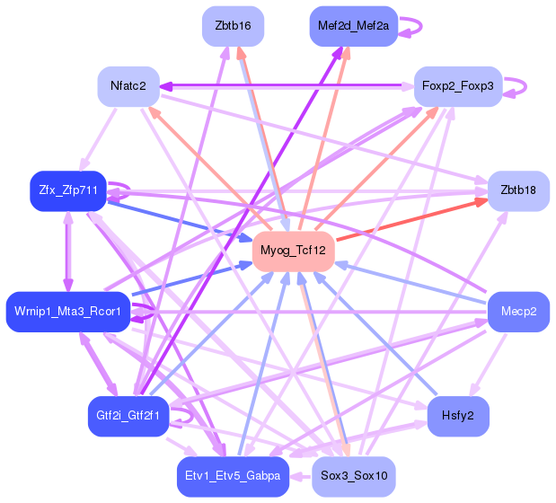 PNG image of the network