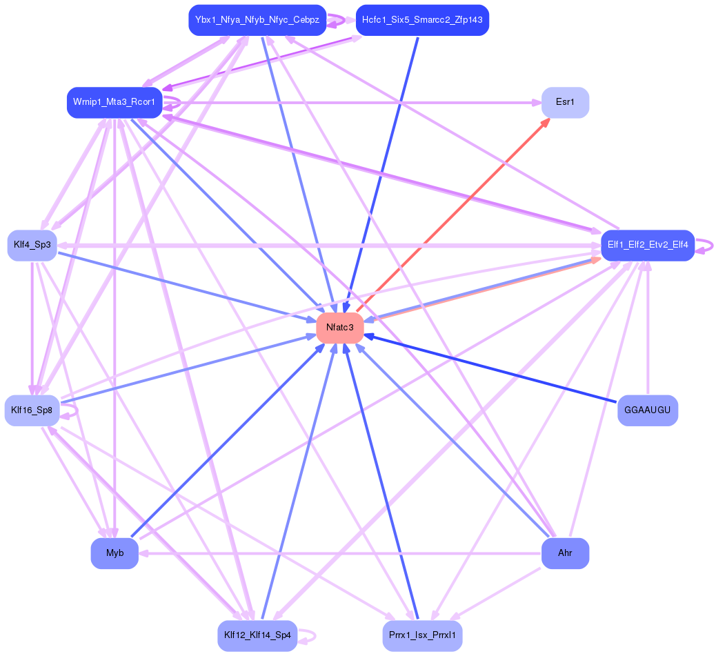 PNG image of the network