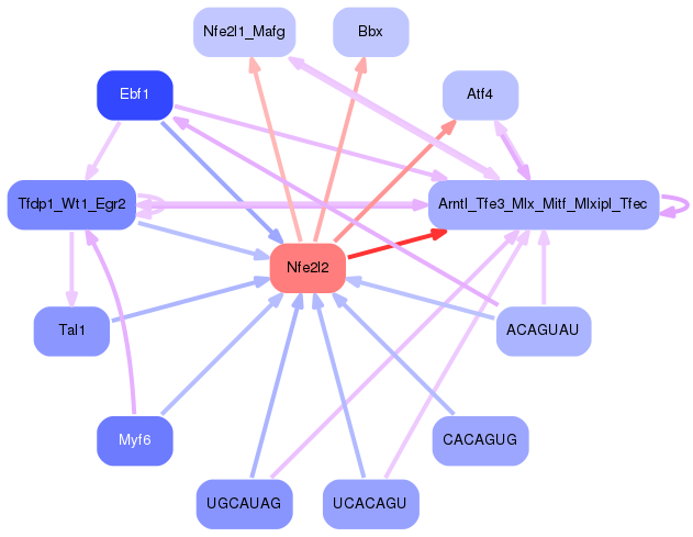 PNG image of the network