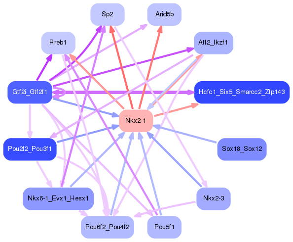 PNG image of the network