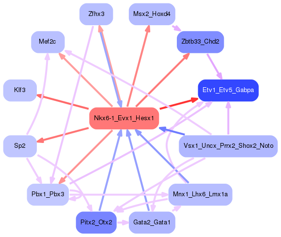 PNG image of the network