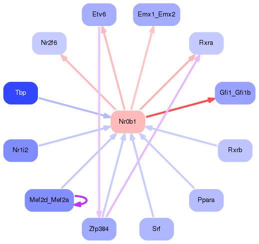 PNG image of the network