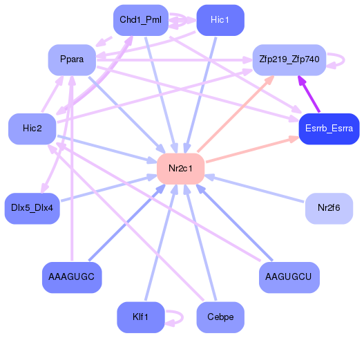 PNG image of the network