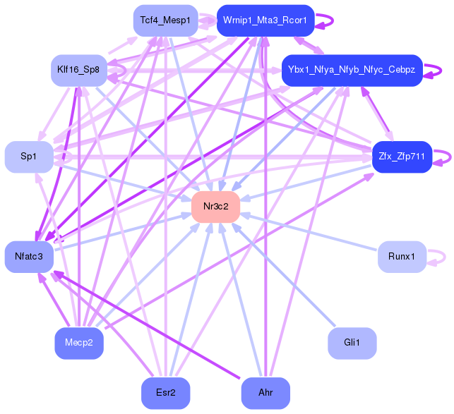 PNG image of the network