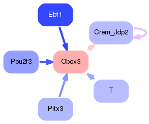 PNG image of the network