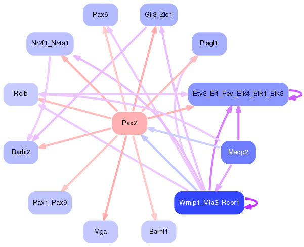 PNG image of the network