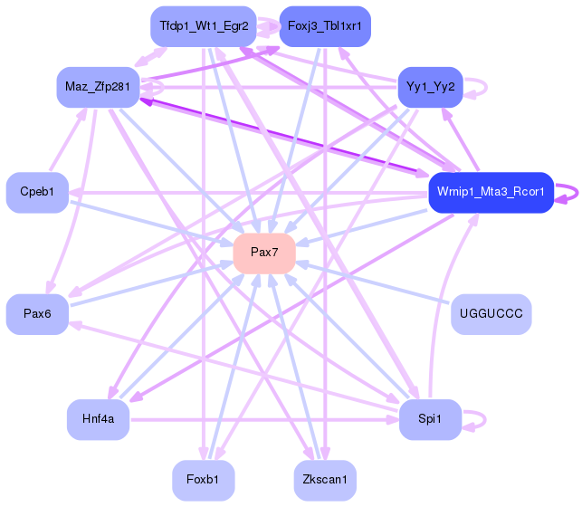 PNG image of the network