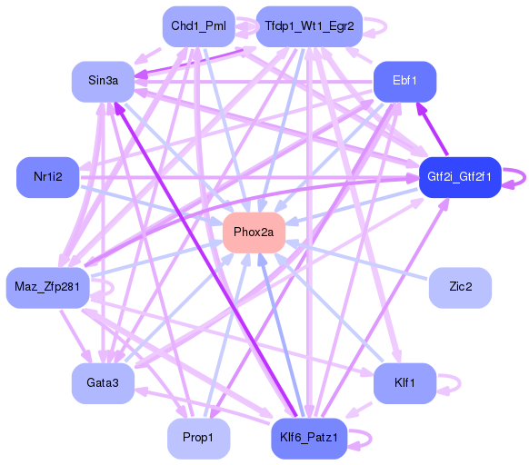 PNG image of the network