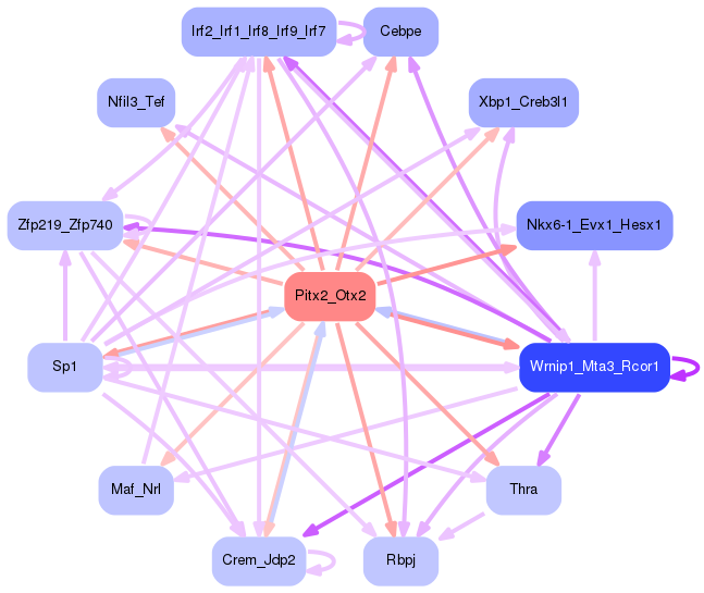 PNG image of the network