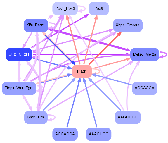 PNG image of the network