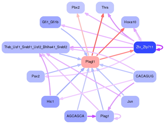 PNG image of the network