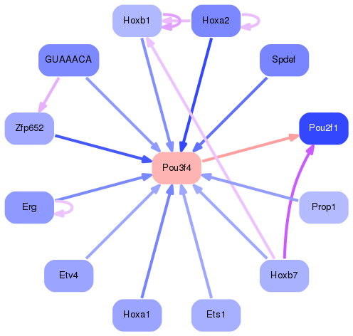 PNG image of the network