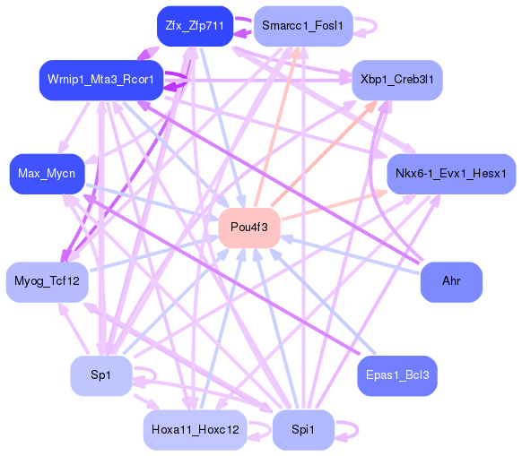 PNG image of the network
