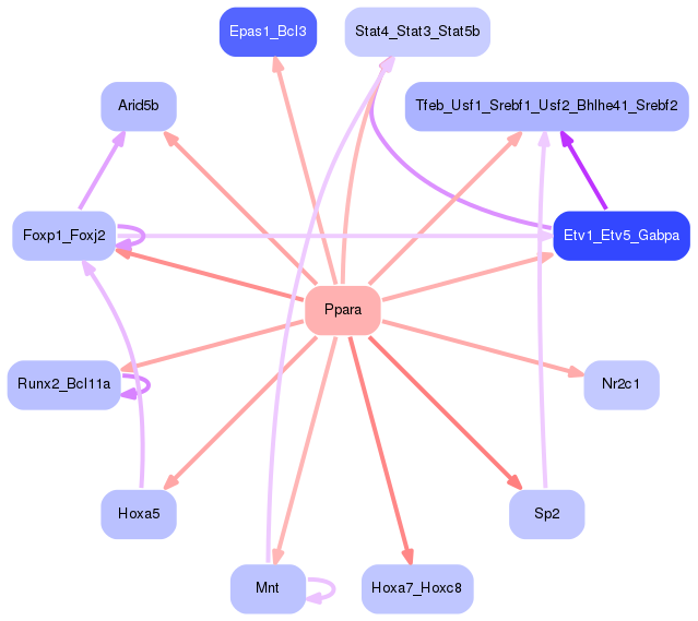 PNG image of the network