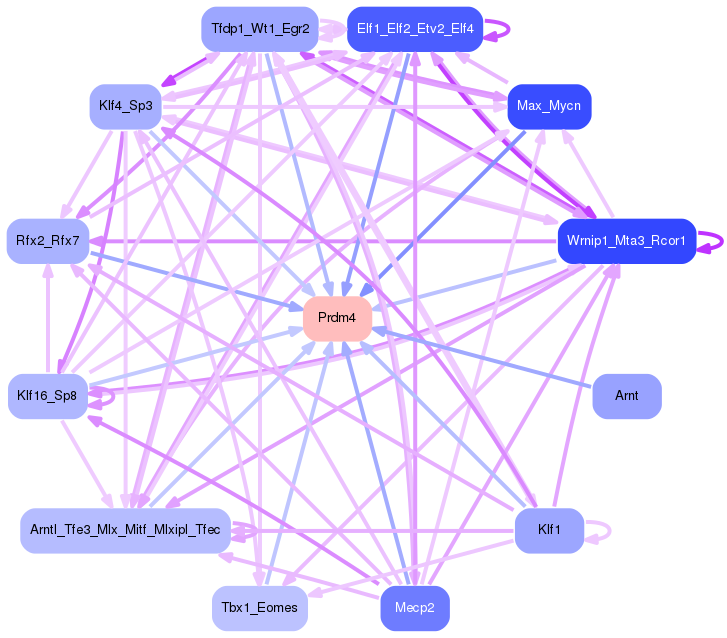 PNG image of the network