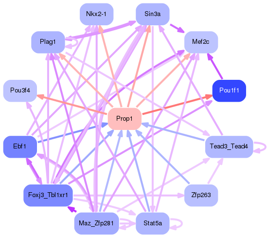 PNG image of the network