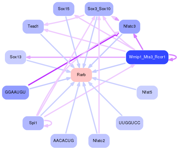 PNG image of the network