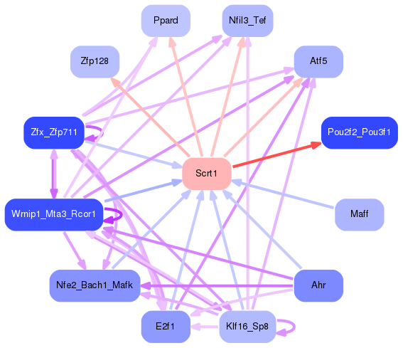PNG image of the network