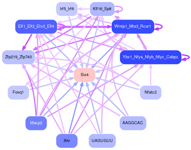 PNG image of the network