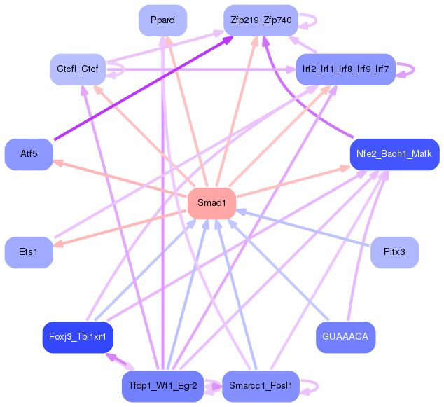 PNG image of the network