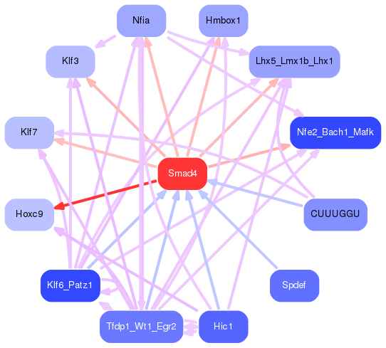 PNG image of the network