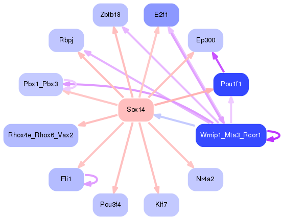 PNG image of the network