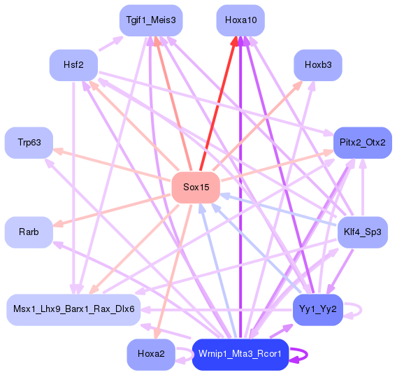 PNG image of the network