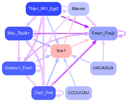 PNG image of the network