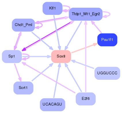 PNG image of the network