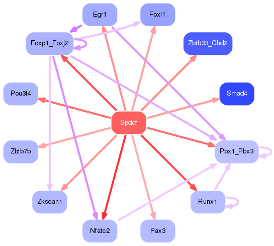 PNG image of the network