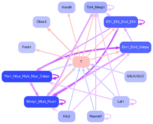 PNG image of the network