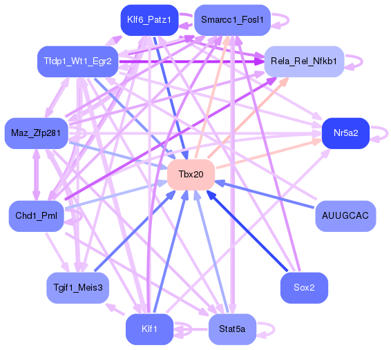 PNG image of the network