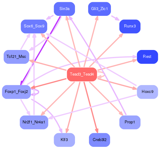 PNG image of the network