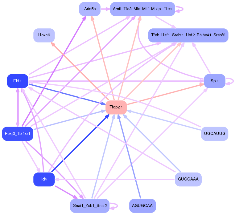 PNG image of the network