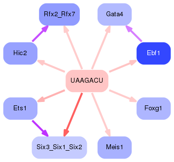 PNG image of the network