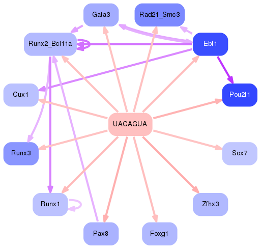 PNG image of the network
